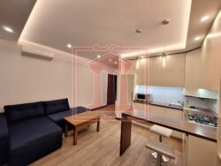 ������� �������� ��������������, 1, ��������, �������������, ������� ���� 2