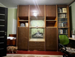 ������ 2� �������� �� ������� ��� ������ ���� 7