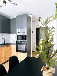 ������ Central park ���� 15