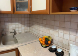 ������ 1� �������� ���� 12