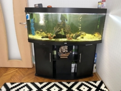 ������ 4� �������� � ����� ���� 16