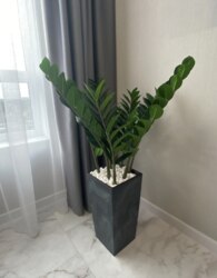 Довготривала оренда однокімнатної квартири в ЖК Лісопарковий фото 11 Довготривала оренда однокімнатної квартири в ЖК Лісопарковий фото 11