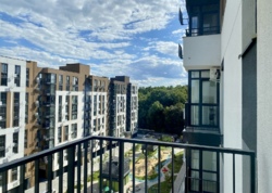   1-        Forest Home!   !  15