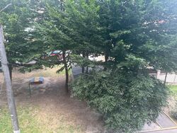 Оренда 3к квартири на Ближньому Замості фото 4 Оренда 3к квартири на Ближньому Замості фото 4
