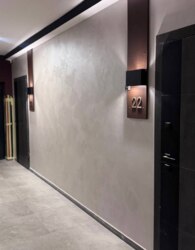 ������������ ������ ������������1� �������� ���� 31