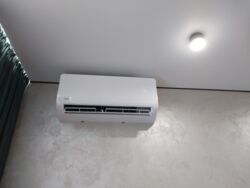 ������ 1� �������� �� Forest Home ���� 11