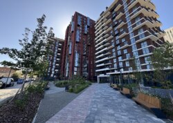 ������������ ������ ������������1� �������� ���� 36