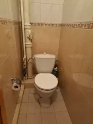 ������������ ������ ����������� �������� �� ������ �������� ����������� ���� 5