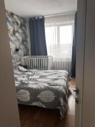������ 2� �������� �� �������� ���� 42