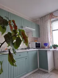 ������������ ������ ����������� �������� �� ������ �������� ����������� ���� 3