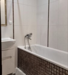 ������������ ������ 1� �������� �� ���. �������� �������� ���� 3