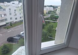 ������������ ������ 1� �������� �� ���. ����������� ���� 7