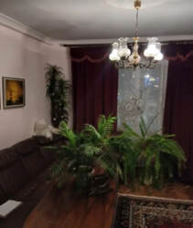 ������������ ������ 3� �������� �� ���. ������� ���� 3