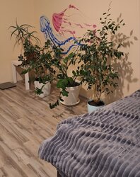 ОРЕНДА квартири- студії в м.Вінниця, Вишенька, вул. Келецька, 140 фото 4 ОРЕНДА квартири- студії в м.Вінниця, Вишенька, вул. Келецька, 140 фото 4