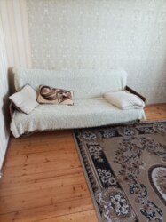 ������ 2� �������� �� �������� ���� 8