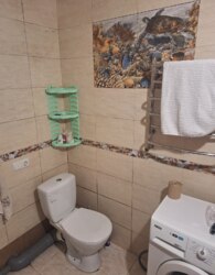 ������������ ������ 1� �������� �� ���. ����������� ���� 5