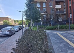 ������������ ������ ����������� �������� � �� ,,Central Park Vinnytsia' ���� 31