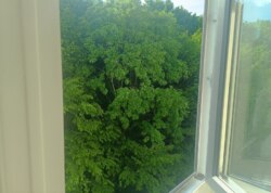 ������������ ������ 1� �������� � �� Green's ���� 14