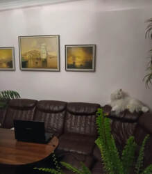 ������������ ������ 3� �������� �� ���. ������� ���� 6