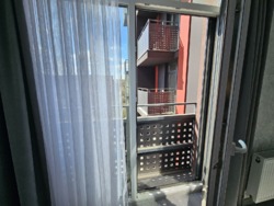 ������ 3� �������� �� Central Park ���� 40