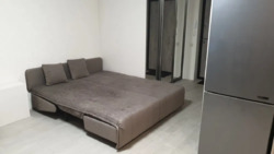 ������ 1� �� ��������� ������� ���� 11