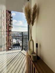 ������ Central park ���� 6