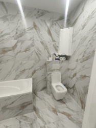 �� ������� ���� 12