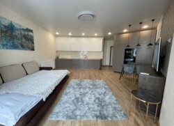 Однокімнатна квартира студія в ЖК Пироговський фото 11 Однокімнатна квартира студія в ЖК Пироговський фото 11