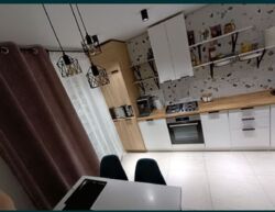 Здається квартира Тернопільська, Тернопіль, Сонячний, Корольова С. вул. фото 1 Здається квартира Тернопільська, Тернопіль, Сонячний, Корольова С. вул. фото 1