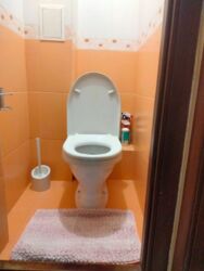 ������� �������� ������� ���., ��������, ������������, �������� ���� 11