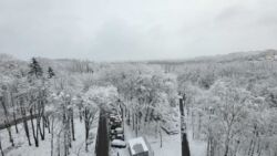 Здається квартира Тернопільська, Тернопіль, Дружба, Чумацька вул. фото 2 Здається квартира Тернопільська, Тернопіль, Дружба, Чумацька вул. фото 2