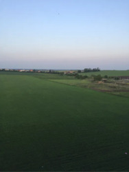 ������� �������� ��������� �. ���., ��������, ������������, �������� ���� 11