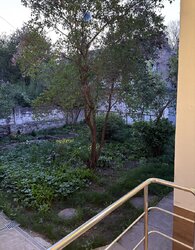 Здається квартира Тернопільська, Тернопіль, Центр, Франка І. вул. фото 10 Здається квартира Тернопільська, Тернопіль, Центр, Франка І. вул. фото 10