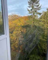 Здається квартира Тернопільська, Тернопіль, Східний, Героїв Крут фото 2 Здається квартира Тернопільська, Тернопіль, Східний, Героїв Крут фото 2