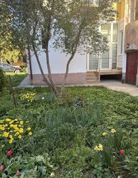 Здається квартира Тернопільська, Тернопіль, Центр, Франка І. вул. фото 3 Здається квартира Тернопільська, Тернопіль, Центр, Франка І. вул. фото 3