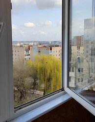 Здається квартира Тернопільська, Тернопіль, Дружба, Карпенка вул. фото 10 Здається квартира Тернопільська, Тернопіль, Дружба, Карпенка вул. фото 10