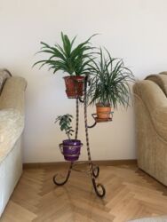 Здається квартира Тернопільська, Тернопіль, Сонячний, Злуки пр. фото 4 Здається квартира Тернопільська, Тернопіль, Сонячний, Злуки пр. фото 4