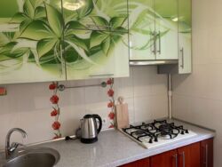 Сдам 1 комнатную квартиру, м. Ботанический Сад фото 1 Сдам 1 комнатную квартиру, м. Ботанический Сад фото 1