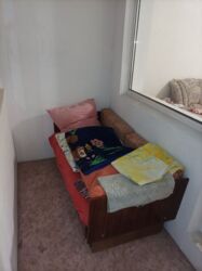 ���� 1-��������� �������� �� ��������,����� ��������� ���������� ���� 5