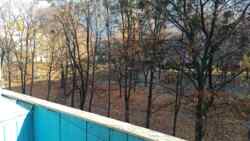 ���� 2 ����.�� ��������, ������������������. ����� ���� 2