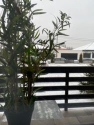 Сдам квартиру Журавлевка, Киевский район, ЖК Клеменова Дача фото 9 Сдам квартиру Журавлевка, Киевский район, ЖК Клеменова Дача фото 9