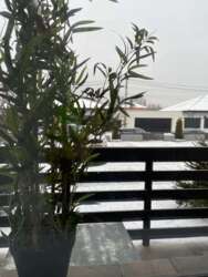 ���� ������� �������� �� ��������� ���� ���� 11