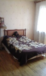 ������� �������� �������, �����������, ������������ ���� 5