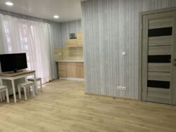 Сдам 1 к. кв. в Новострое м. Академика Павлова фото 2 Сдам 1 к. кв. в Новострое м. Академика Павлова фото 2