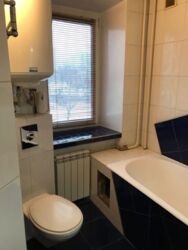 3� ��������� �������� �� �������� ���� 8