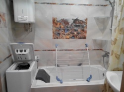 ���� 1�. �������� ��� ���� 5