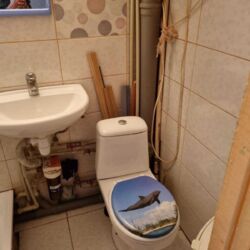 ������� �������� �������, ����������� ���� 6