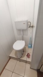     382      6