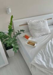 ������� �������� ���������, �������������, ���������� ���� 1