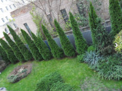 Сдам шикарную,просторную 2-х ком.квартиру с ремонтом возле м.Шулявская.Торг! фото 5 Сдам шикарную,просторную 2-х ком.квартиру с ремонтом возле м.Шулявская.Торг! фото 5